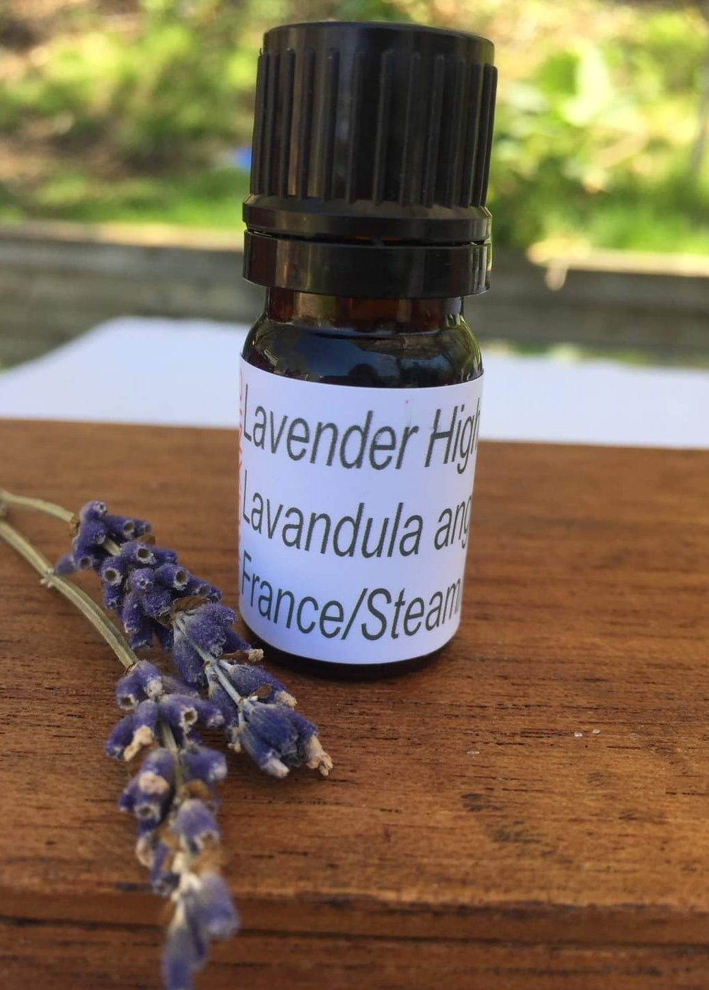 Lavender Essential Oil