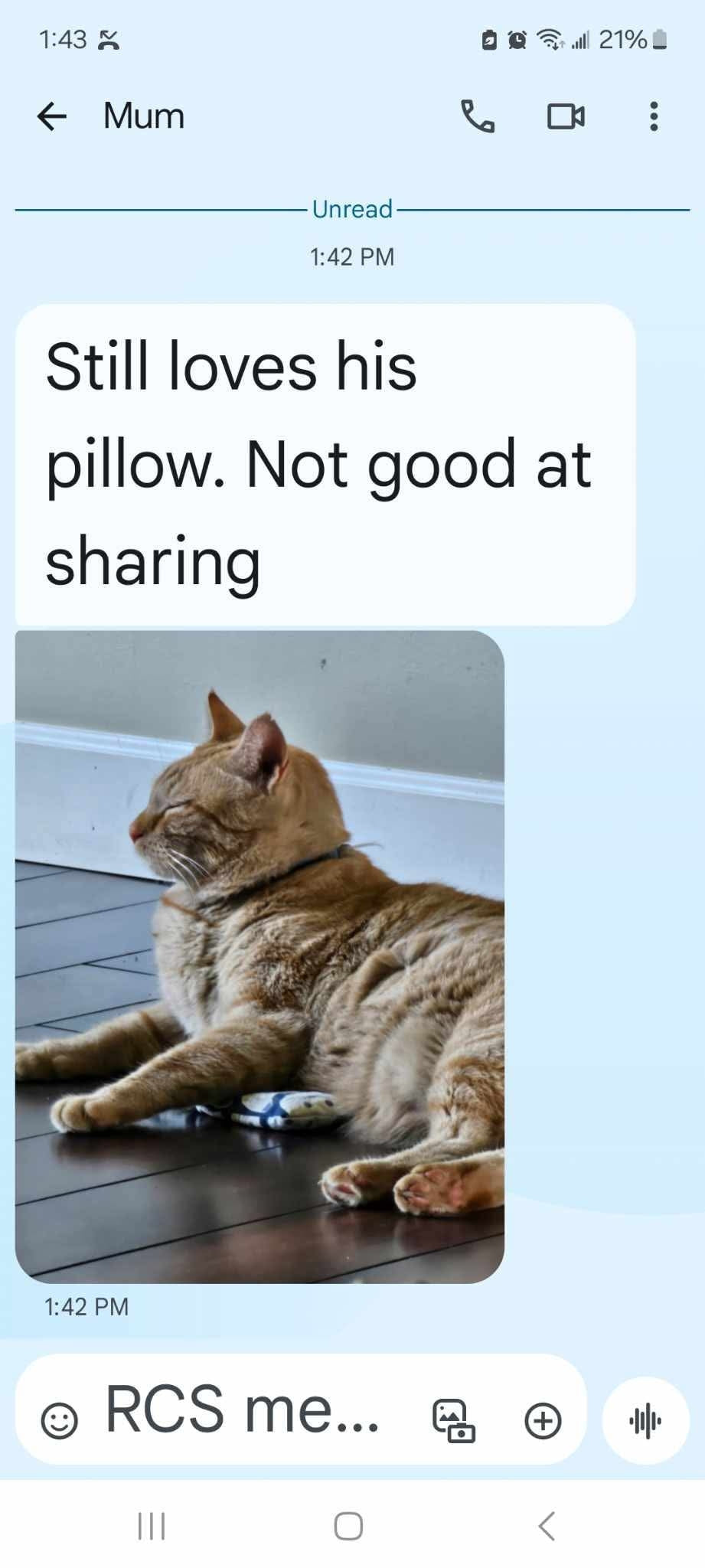 Catnip Bag