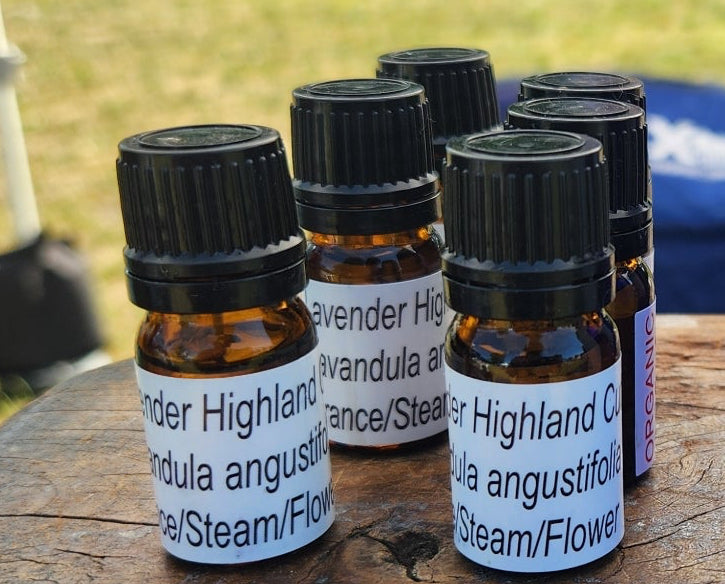 Lavender Essential Oil