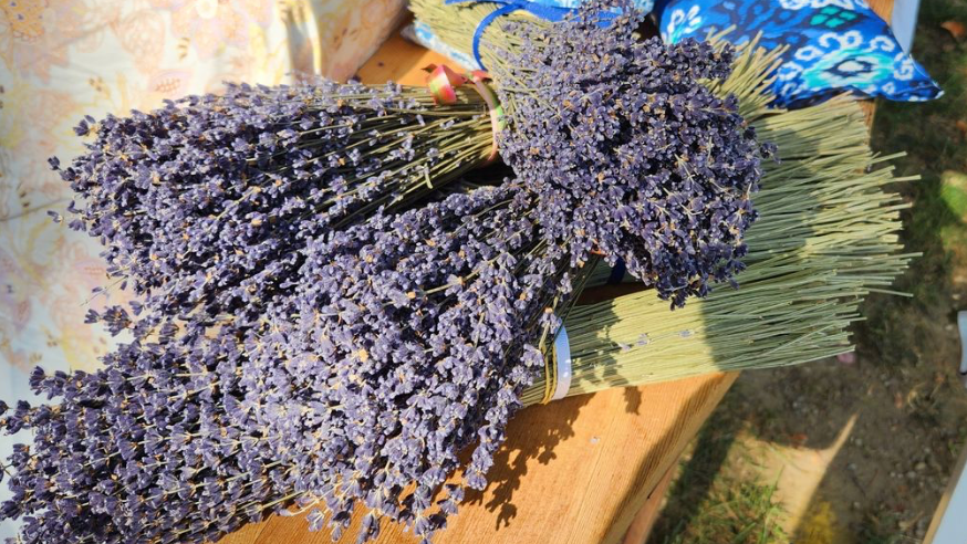 Lavender Bunches
