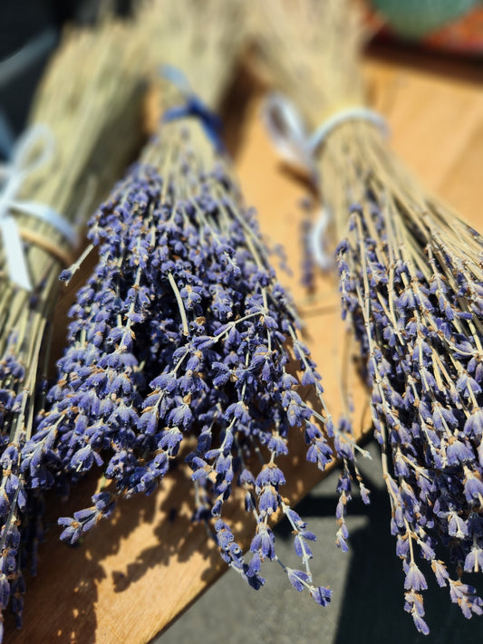 Lavender Bunches